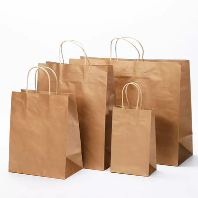 De meeneem Verpakkende Document Zak TUV van Zaklogo printing varnishing kraft paper