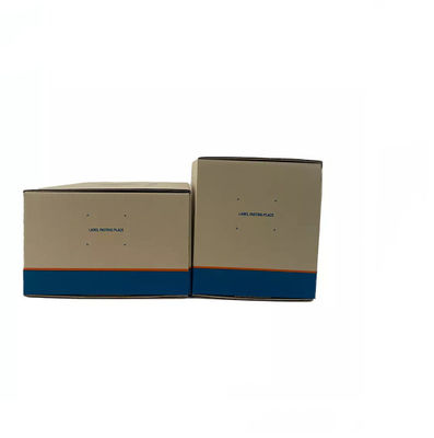 Matt Lamination Auto Parts Packaging-Doos/van de Verpakkingsdoos Karton Golfsgs