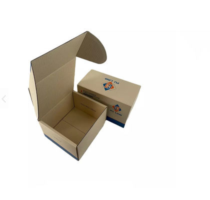 Matt Lamination Auto Parts Packaging-Doos/van de Verpakkingsdoos Karton Golfsgs