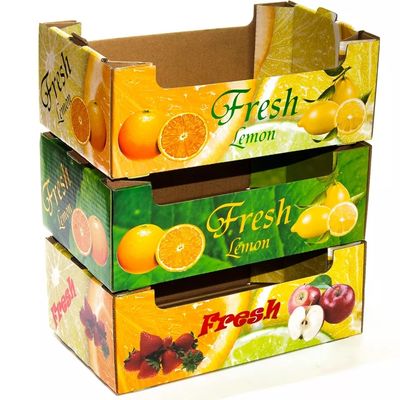 OEM opvouwbare kartonnen fruit- en groentedozen aangepast formaat
