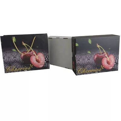 De KONINKLIJKE Verpakkingsfruit Luxe van Verpakkingsdozen Golf met Zakken