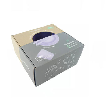 Douane Logo Folding Cardboard Box Packaging voor Vaatwerkvaatwerk