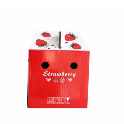 Vers Fruit Groente Doos Verpakking Golfkarton Recyclebaar