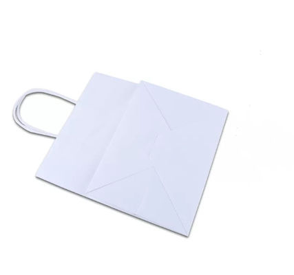 Het Document van handvatkraftpapier de Handtas Duurzame Pantone haalt Voedselzak weg