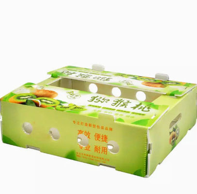 Pp-Plastiek	Antistatische Doos van de de Plaatomzet van fruit de Verpakkende Dozen Holle