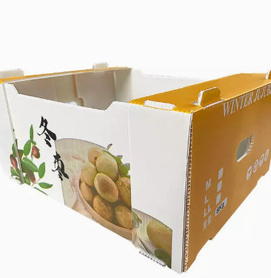 Pp-Plastiek	Antistatische Doos van de de Plaatomzet van fruit de Verpakkende Dozen Holle