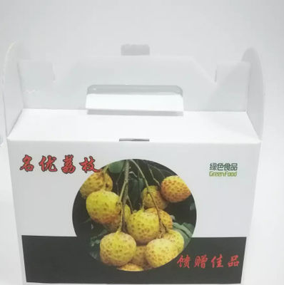 Pp Golf Plastic Fruit en Plantaardige Opnieuw te gebruiken Dozendouane