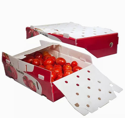 Plooiden de Verpakkende Dozen van het groentenfruit Plastic Statische Beschermend