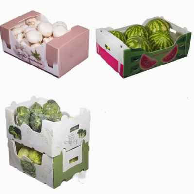 Plooiden de Verpakkende Dozen van het groentenfruit Plastic Statische Beschermend